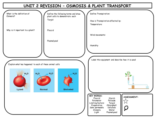 GCSE Osmosis & Plant Transport Revision Mat