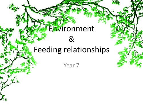 habitat,adaptations, food chains, variation, classification,  vertebrates, invertebrates Year 7 KS3