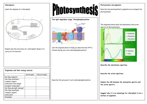 A2 Photosynthesis Revision mat