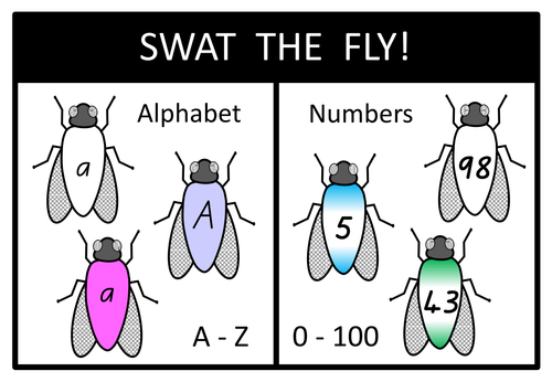 Alphabet and Number Flies