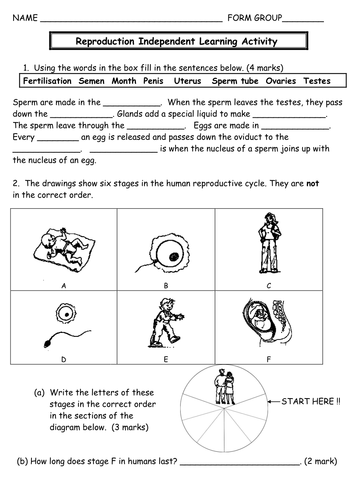 Cells worksheets image