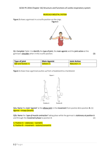 AQA GCSE PE - Cardio-respiratory question paper and mark scheme