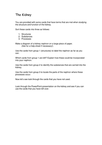A2 Biology Kidney Sorting Activity
