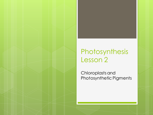 5.6 Photosynthesis Lesson 2 - Chloroplasts & Photosynthetic Pigments - OCR A Level Biology