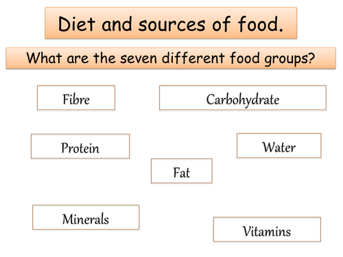 Year 8 Biology - Diet, Food tests, Digestion + Enzymes