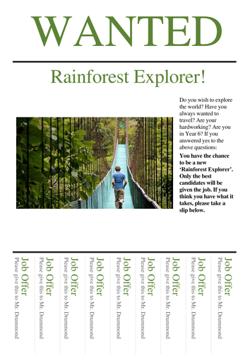 Year 6 Rainforest Tasks - Suitable for Homework