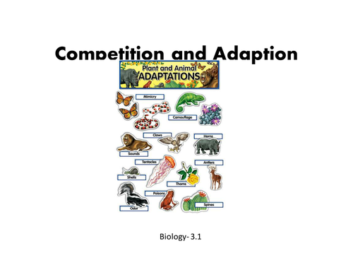 Competition and Adaption