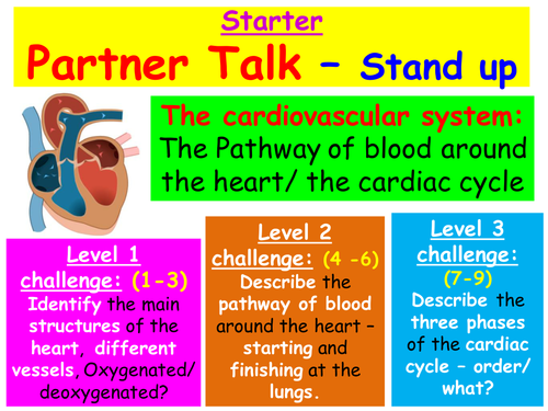 Cardiac Output, Stroke Volume and Heart Rate - New AQA GCSE PE Specification