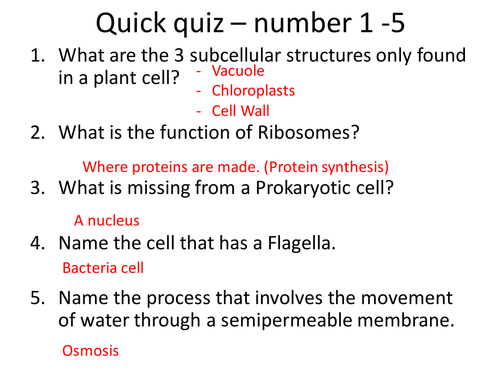 Nervous System - NEW Edexcel 9-1