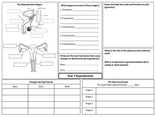 KS3 Reproduction - Knowledge Organiser