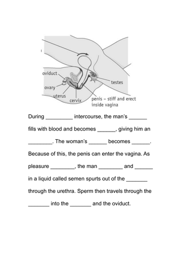 Differentiated Reproductive Organs And Sexual Intercourse Task Teaching Resources 4946