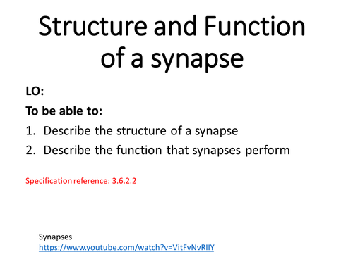 Alevel biology topic 6 synapse structure and function | Teaching Resources