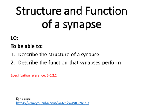 Alevel biology topic 6 synapse structure and function