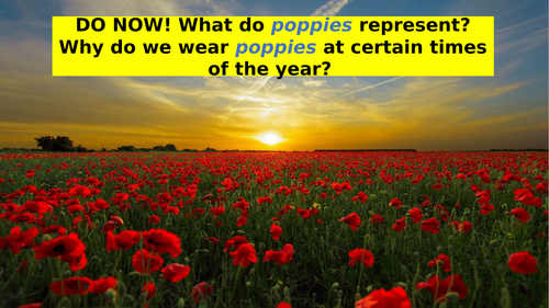 Poppies by Jane Weir (Low Ability) GCSE English