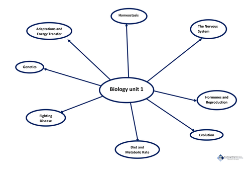 Blank B1 Mindmap