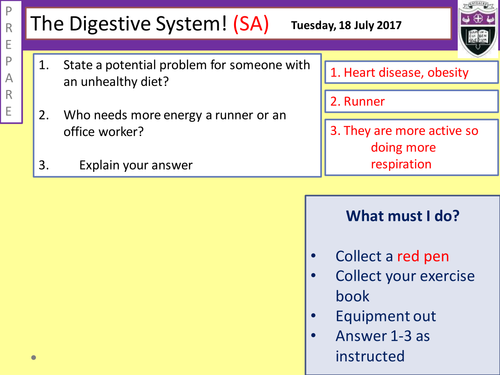 Digestive System