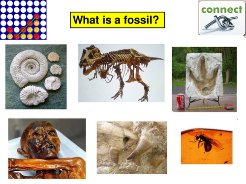 KS3 Lesson 6: Natural selection