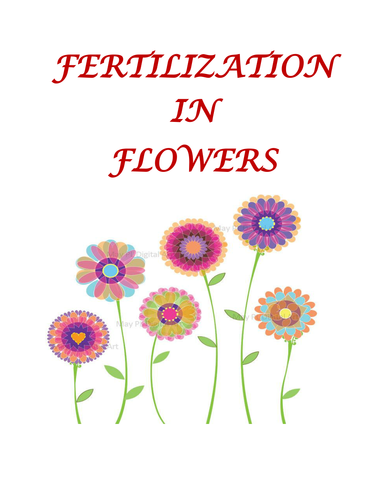 Fertilization in flowers