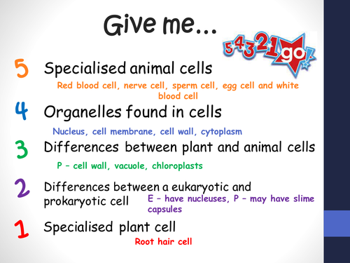 B1.5 Specialisation of plant cells