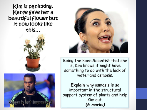 B1.9 Active transport