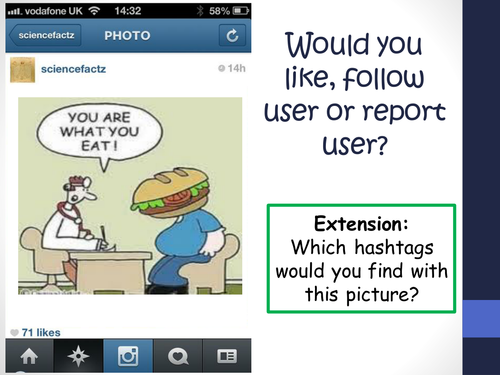 B3.2 The human digestive system