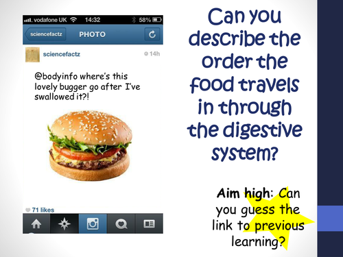 B3.6 How the digestive system works
