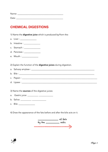 Chemical digestions - exercises