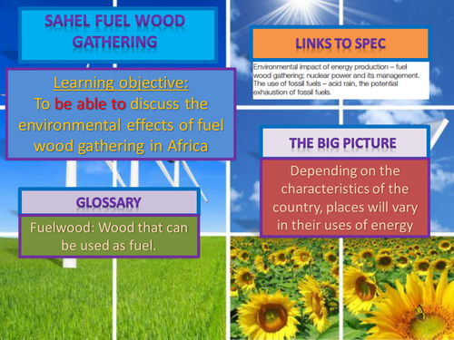 AQA AS level (legacy). Energy and fuelwood gathering