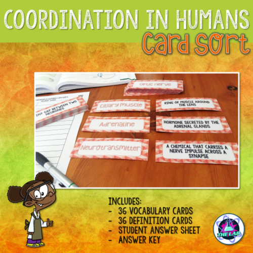 Coordination in Humans Vocabulary Card Sort