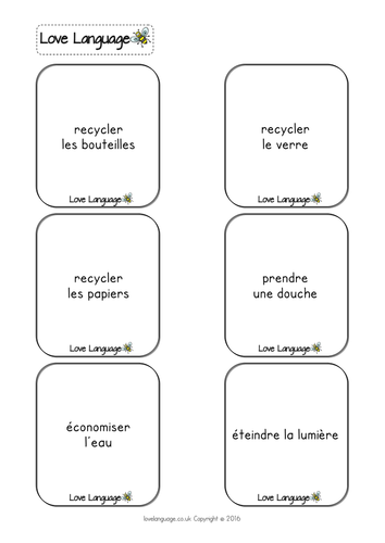 French Protecting the Environment - vocabulary cards