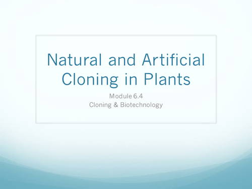 6.4 Cloning and Biotechnology Lesson 1 - Natural & Artificial Plant Clones - OCR A Level Biology