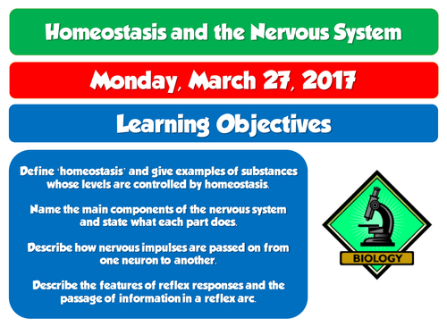 AQA GCSE Biology 9-1 (2016) Homeostasis and the nervous system INDEPENDENT LEARNING