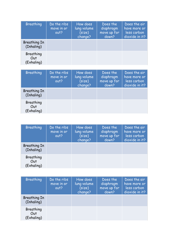 Lungs and Respiration
