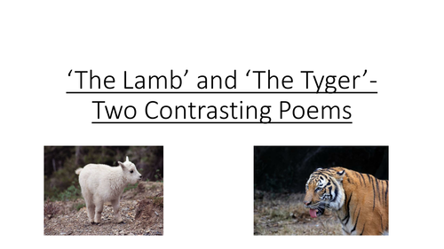 Blake's Lamb and Tyger