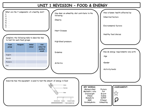 GCSE Single Science Food & Energy Revision Mat
