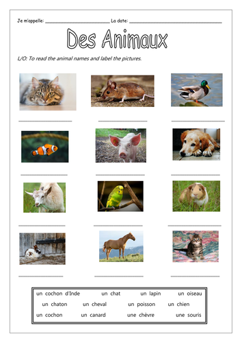 FRENCH - Animals - Des Animaux Activities