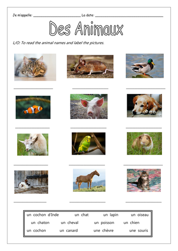 FRENCH - Animals - Des Animaux - Worksheets | Teaching Resources