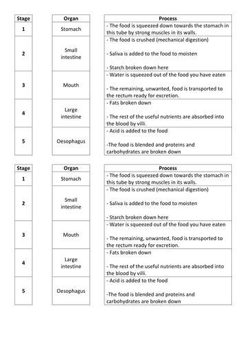 Digestive System- starter/plenary
