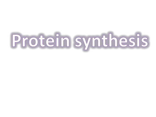 Protein Synthesis Revision