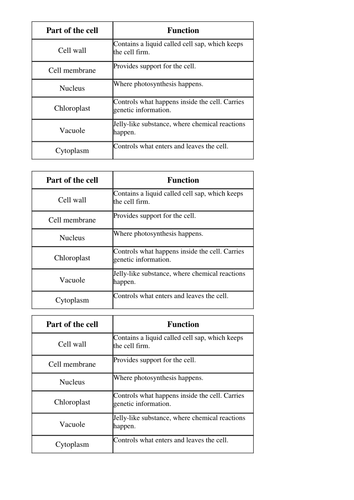 Cell function starter