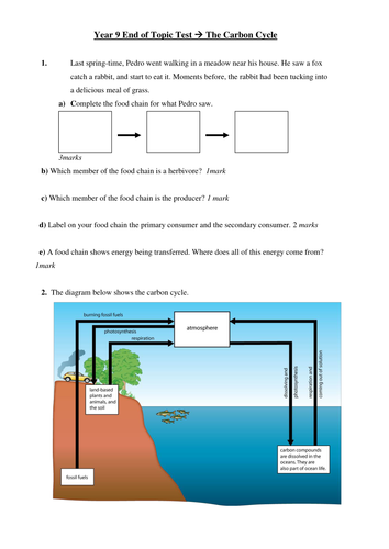 Carbon cycle test
