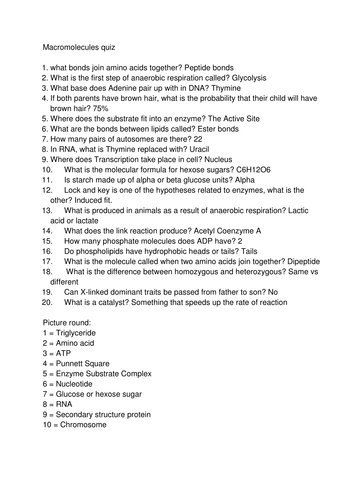 Level 3 Macromolecules end of unit quiz