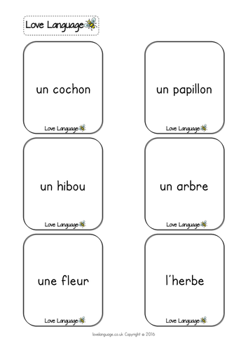 French - Living and non-living things - vocabulary cards