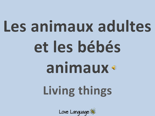 French Living Things - Adult animals, baby animals PowerPoint