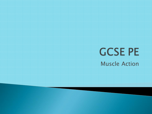 AQA GCSE PE 2016 - Lesson 15 Muscle Actions
