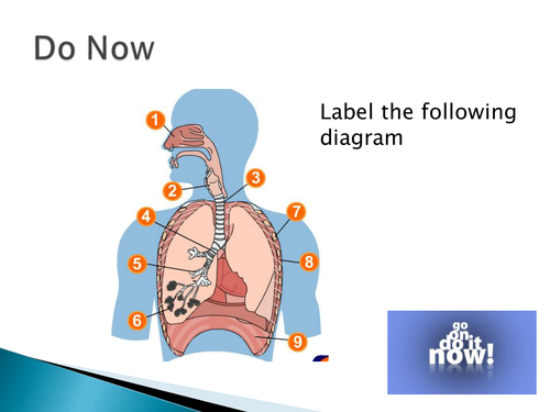 AQA GCSE PE 2016- Lesson 22 Blood Vessels
