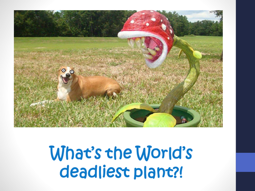 B5.11 Plant defence responses