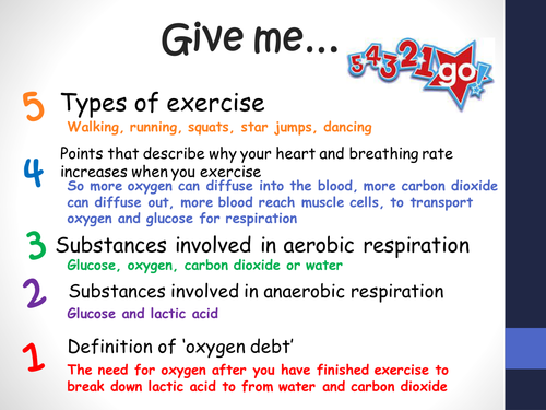 B9.4 Metabolism of the liver