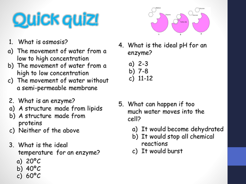 B10.1 Principles of homeostasis