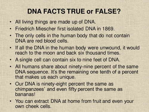 DNA, RNA, Protein Synthesis